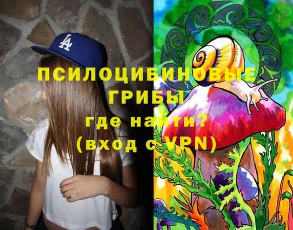 дурь Алексин