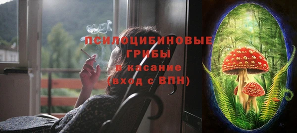 дурь Алексин