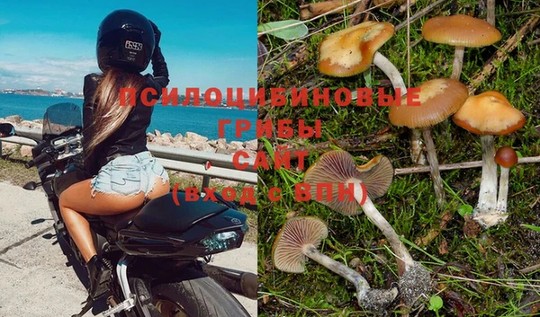 дурь Алексин