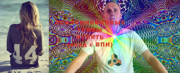 дурь Алексин